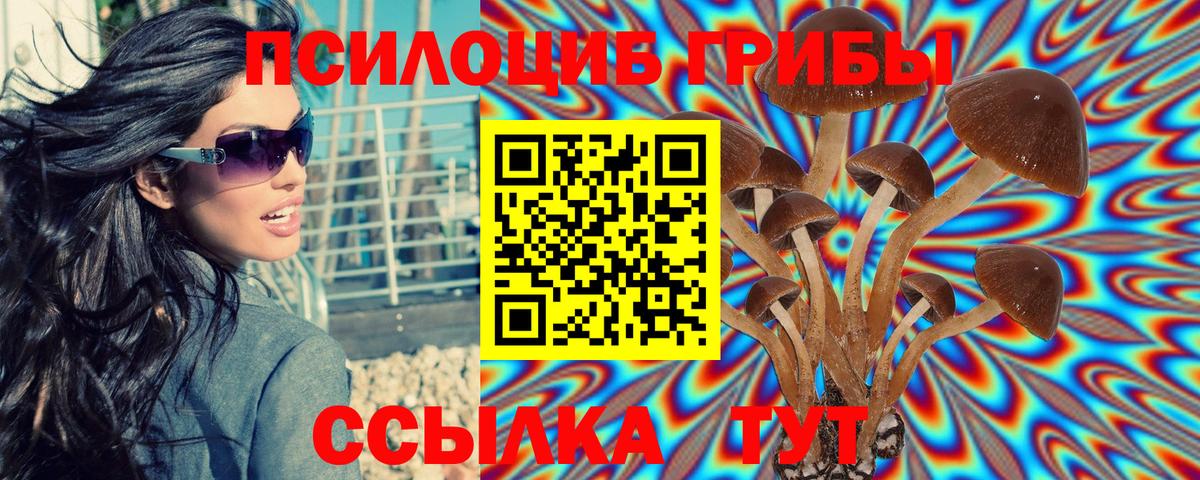 купить  цена  Галлюциногенные грибы прущие грибы  Вход с VPN  Ипатово 